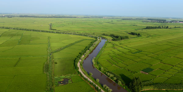 1573262223646973.jpg u=1618211278,3736645232&fm=26&gp=0.jpg