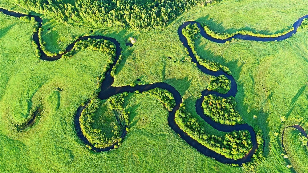 1573262554820732.jpg timg (1).jpg